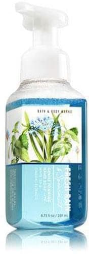Bath & Body Fresh Rain Spearmint Gentle Foaming Hand Soap